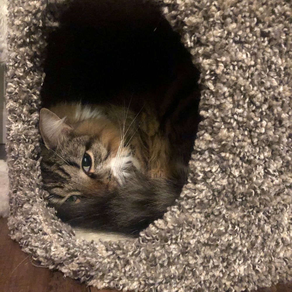 Meet your Posher, Sara